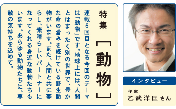 夢みる数字vol.6「動物」篇