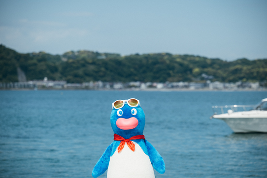 相模湾をバックに記念写真