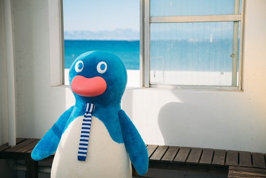 バス停の待合室でくつろぐはまペン。窓からは富士山が見える。