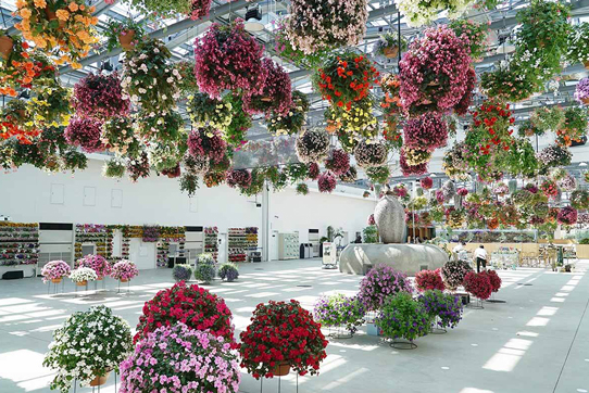 花あふれる温室「HANA・BIYORI館」