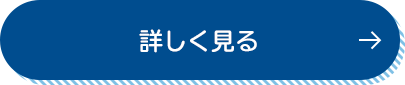 詳しく見る