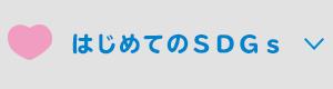 はじめてのSDGs