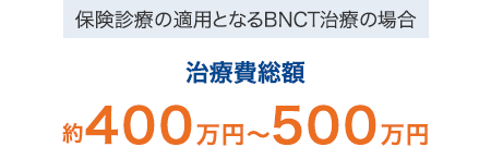 [保険診療の適用となるBNCT治療の場合]治療費総額 約400万円～500万円