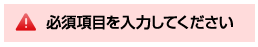 必須項目を入力してください