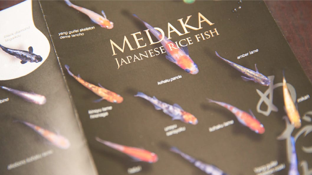 𠮷田観賞魚販売株式会社 社内イメージ6