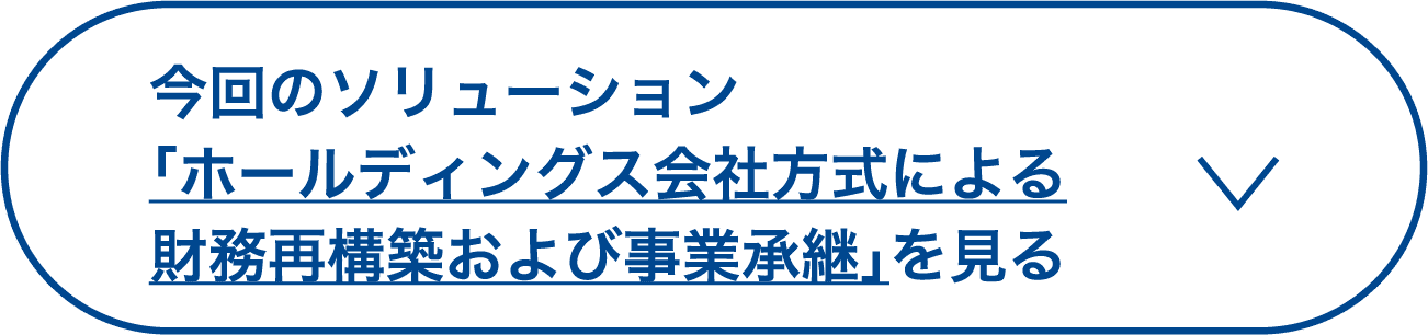 今回のソリューション「ホールディングス会社方式による財務再構築および事業承継」を見る