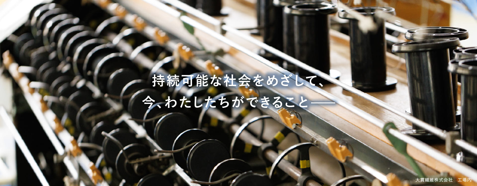 持続可能な社会を目指して、今、わたしたちができること—