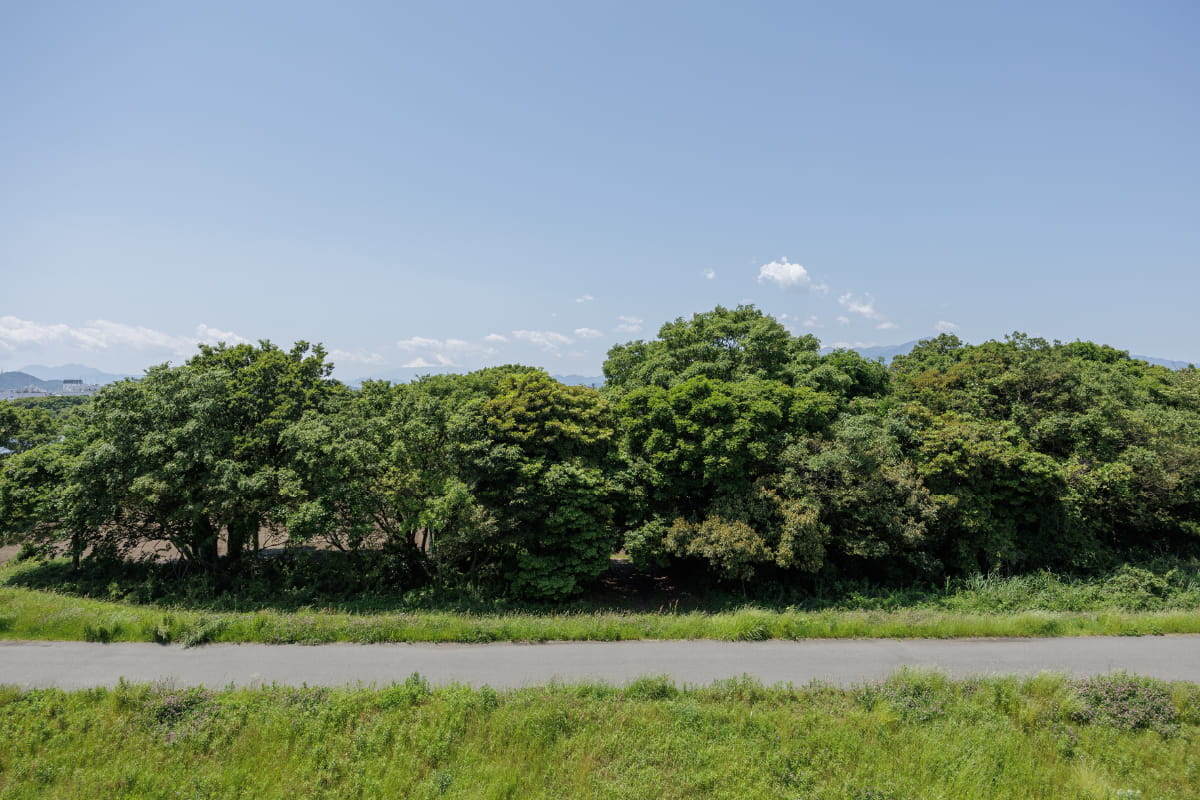 神奈川電設株式会社 PHOTO