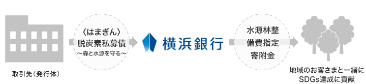 取引先（発行体） 〈はまぎん〉脱炭素私募債～森と水源を守る～ 横浜銀行 水源林整備費指定寄附金 地域のお客さまと一緒にSDGs達成に貢献