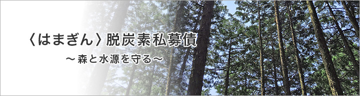 〈はまぎん〉脱炭素私募債～森と水源を守る～