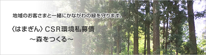 地域のお客さまと一緒にkかながわの緑を守ります。〈はまぎん〉CSR環境私募債～森をつくる～