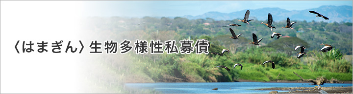 〈はまぎん〉生物多様性私募債