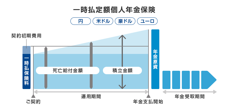 一次払定額個人年金保険（円 米ドル 豪ドル ユーロ） ：一時払保険料（契約初期費用） ご契約 死亡給付金額 運用期間 積立金額 年金支払開始 年金原資 年金受取期間