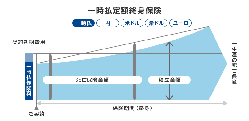 一次払定額終身保険（一次払 円 米ドル 豪ドル ユーロ） 一次払保険料（契約初期費用） ご契約 死亡保険金額 保険期間（終身） 積立金額 一生涯の死亡保障