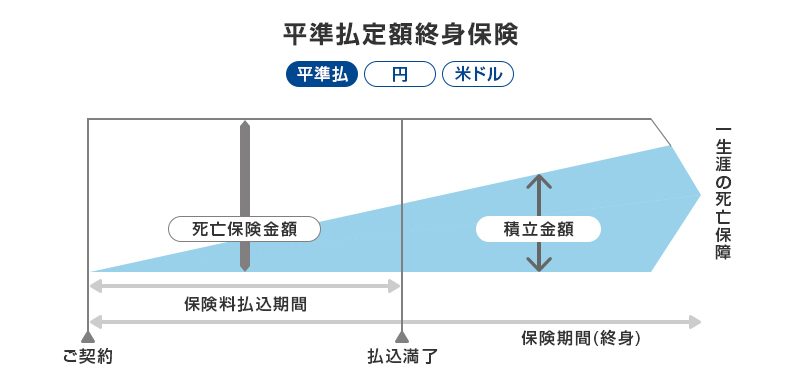 平準払定額終身保険（平準払 円 米ドル） ご契約 死亡保険金額 保険料払込期間 払込満了 積立金額 保険期間（終身） 一生涯の死亡保障