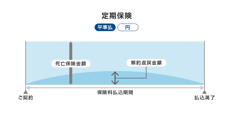 定期保険（平準払 円） ご契約 死亡保険金額 保険料払込期間（解約返戻金額） 払込満了