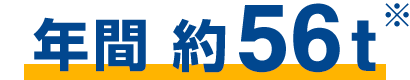 年間約56t※