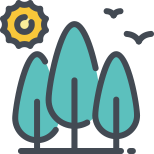このCO₂を吸収するのに必要な杉の木は約4,000本にのぼります。